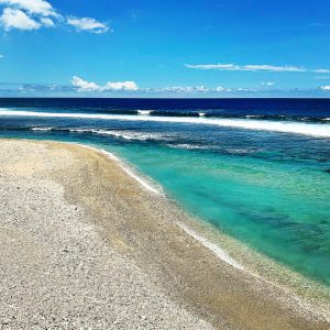 Paysage - Louis Ozoux - Le Pétrel Blanc